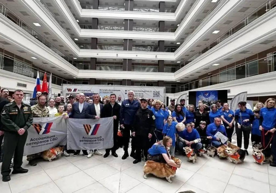 Уникальный в России корги-отряд отметил день рождения на площадке Ассоциации ветеранов СВО Московской области